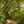 kudu - gen5 - Bundu Bashing Package
